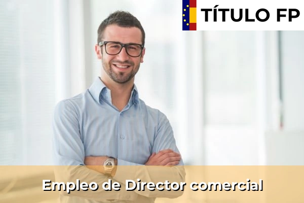 Empleo de Director comercial