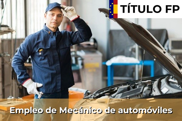 Empleo de Mecánico de automóviles