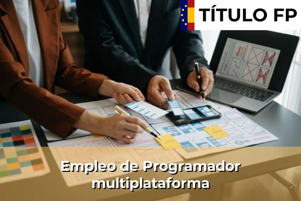 Empleo de Programador multiplataforma