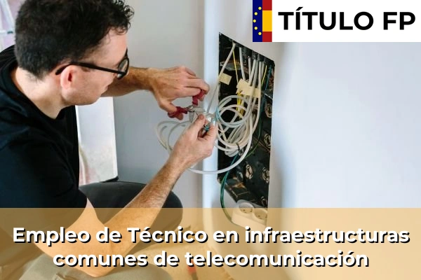 Empleo de Técnico en infraestructuras comunes de telecomunicación